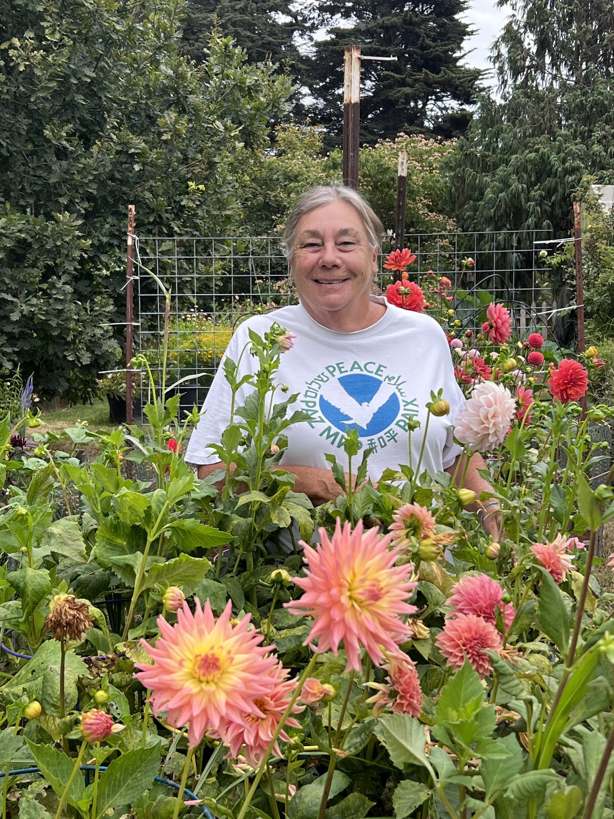 Cory standing among the dahlia beds at Cory's Cottage Gardens