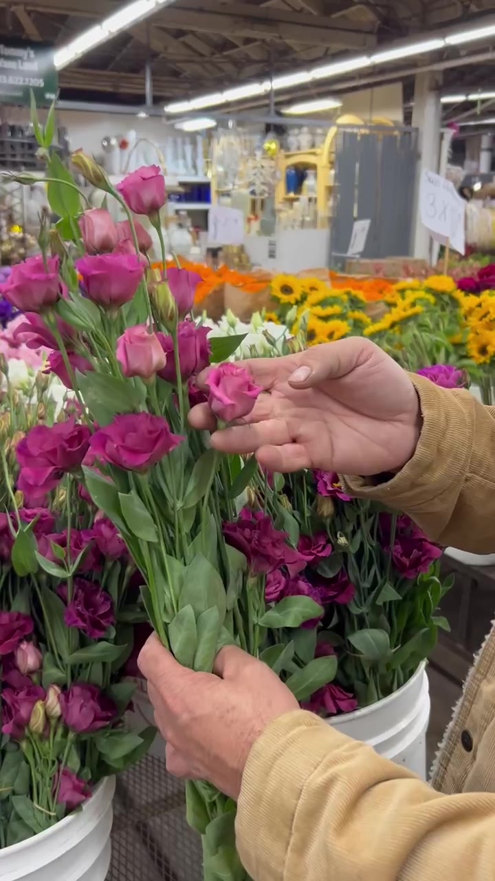 Hands sorting deep pink lisianthus stems at a flower market stall