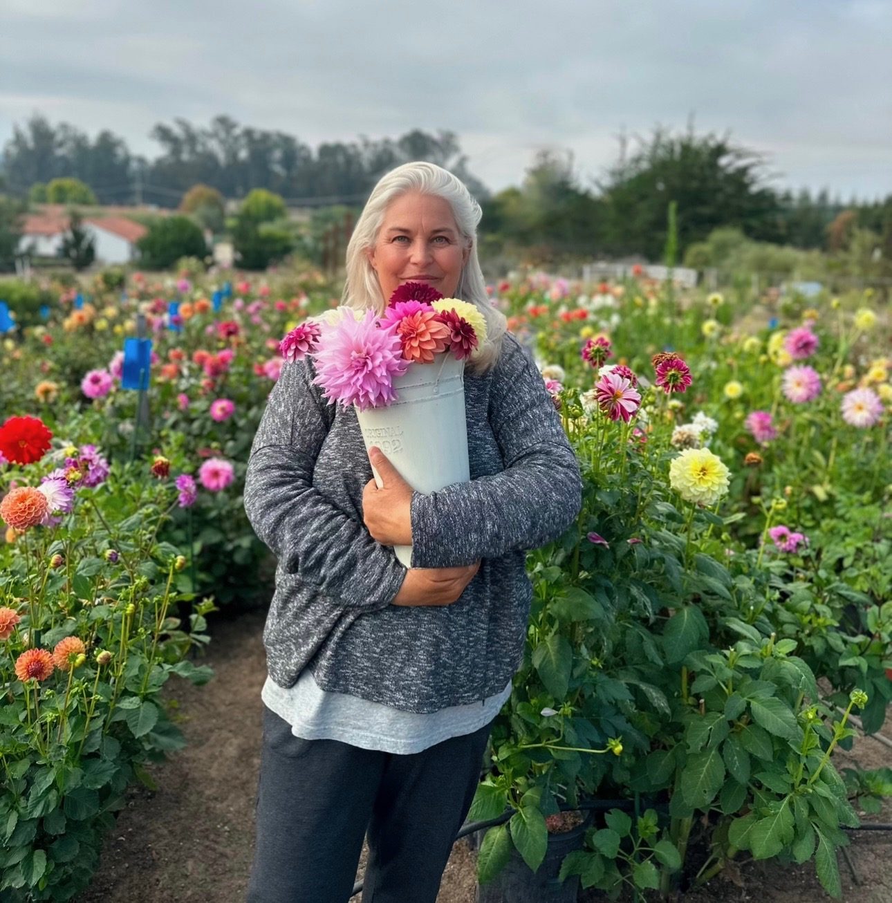Melissa Walker-Scott carrying a white bucket of dahlias through the rows at Flower Girl Farms