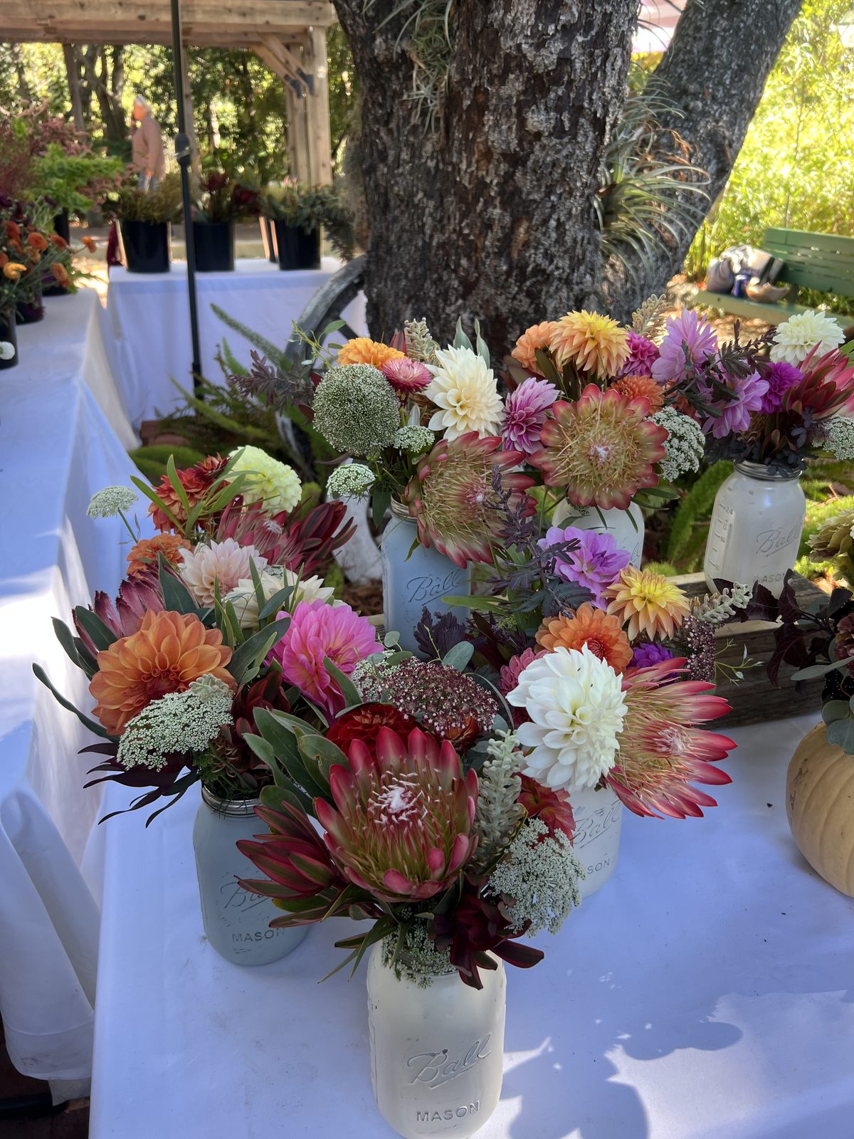 A market table crowded with protea, dahlia and strawflower bouquets in buckets